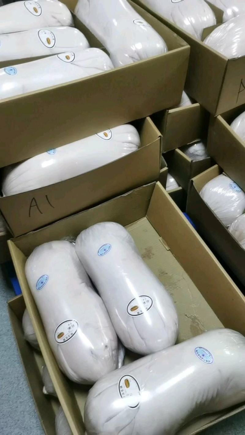 乳猪，小耳朵乳猪，2--40公斤大量现货，确保新鲜