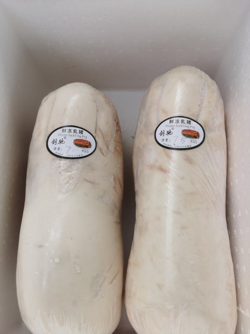 乳猪，小耳朵乳猪，2--40公斤大量现货，确保新鲜