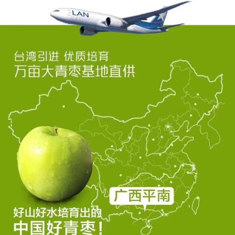 广西贵港市平南县蜜丝枣