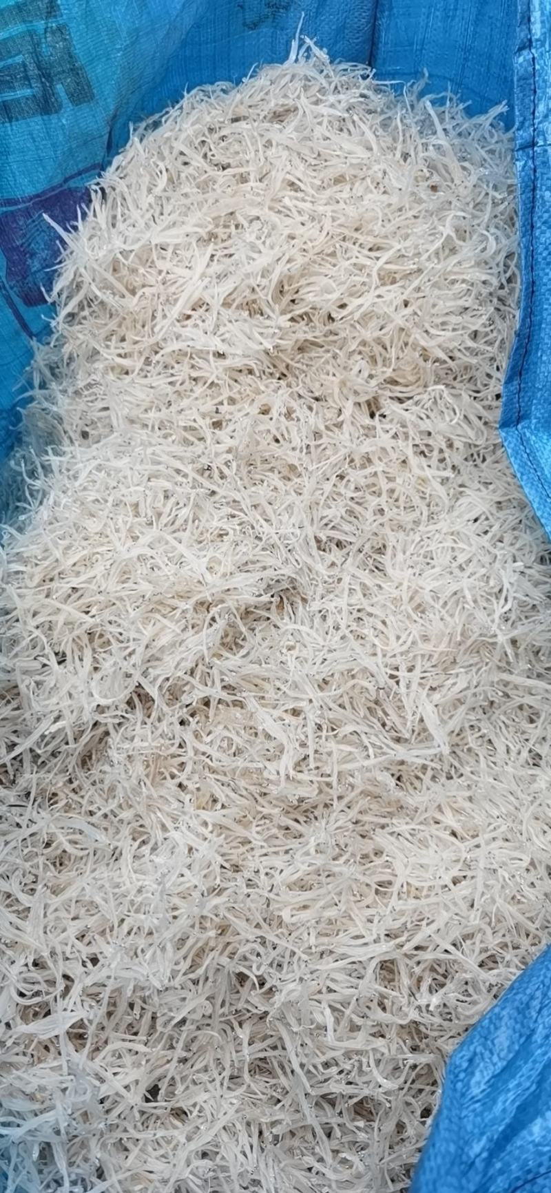 5---7公分淡水银鱼