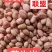 花生米，大颗粒，农副产品，直销，一件起批。