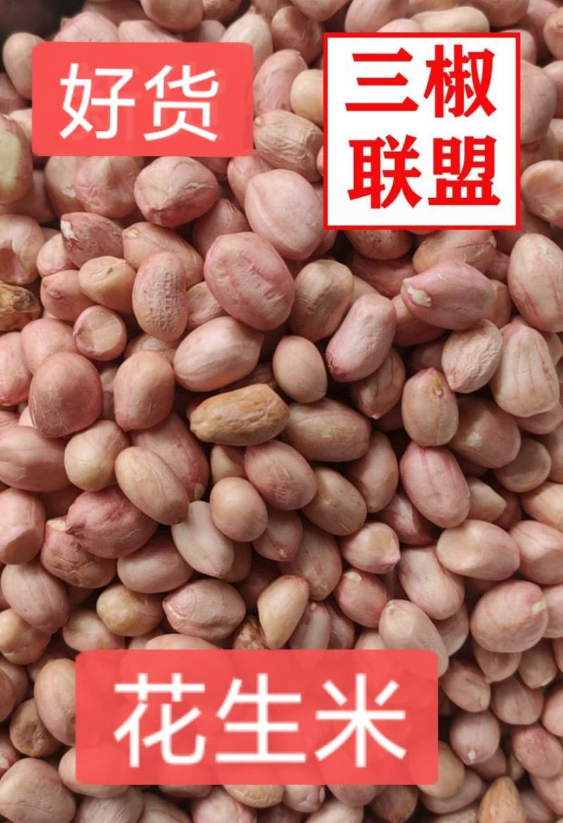 花生米，大颗粒，农副产品，直销，一件起批。