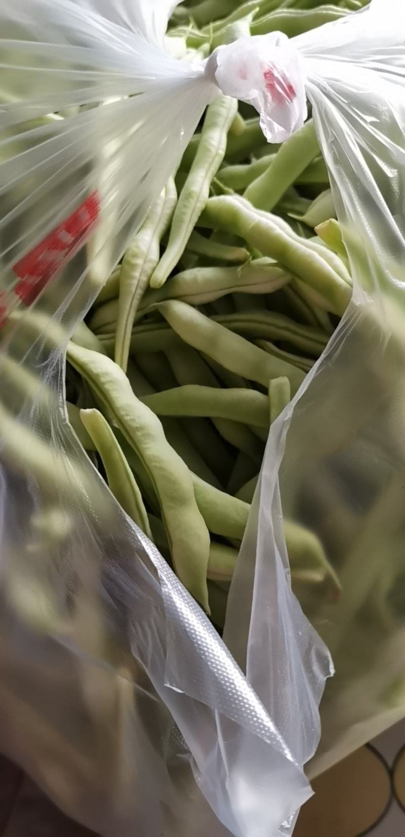 精品芸豆刚下量大质量好芸豆钱绿色有无丝豆一九粒白芸豆有
