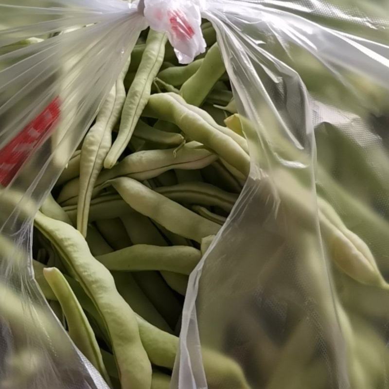 精品芸豆刚下量大质量好芸豆钱绿色有无丝豆一九粒白芸豆有