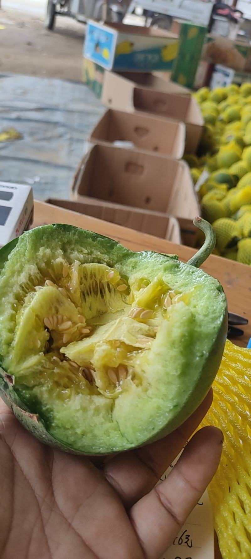 绿宝甜瓜原产地发货品质好规格齐全欢迎新老客商！包装一条龙！