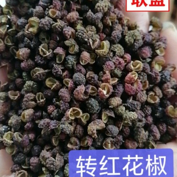 转红花椒，产地直销。打粉神器，一斤起批。