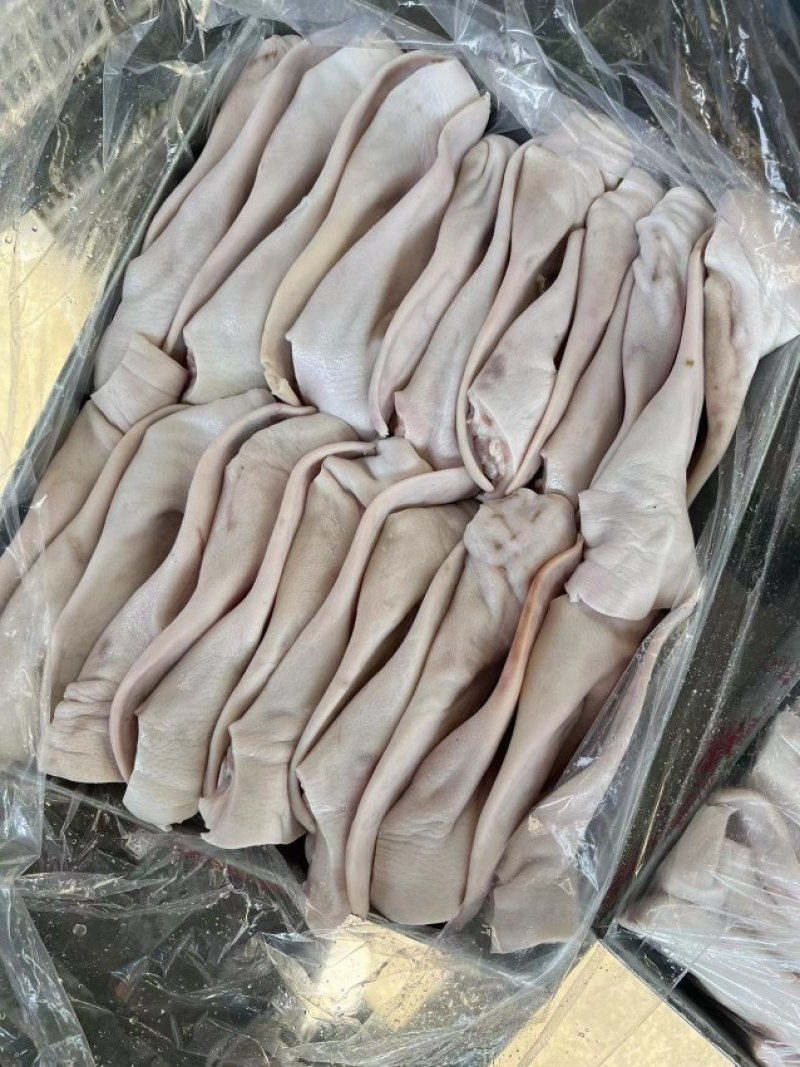 猪耳朵28-3019斤左右山东调理品