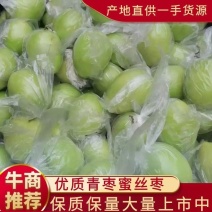 广西平南优质青枣蜜丝枣保质保量大量上市中！（实力代办）