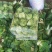 精品娃娃菜量大从优一手货源质量保障可视频看货