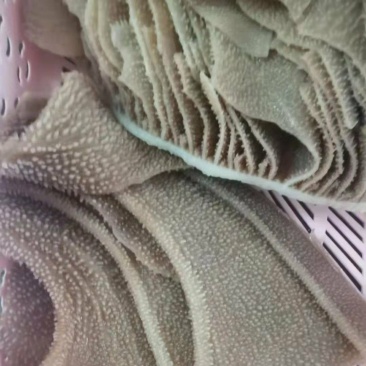黑个毛肚