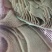 黑个毛肚