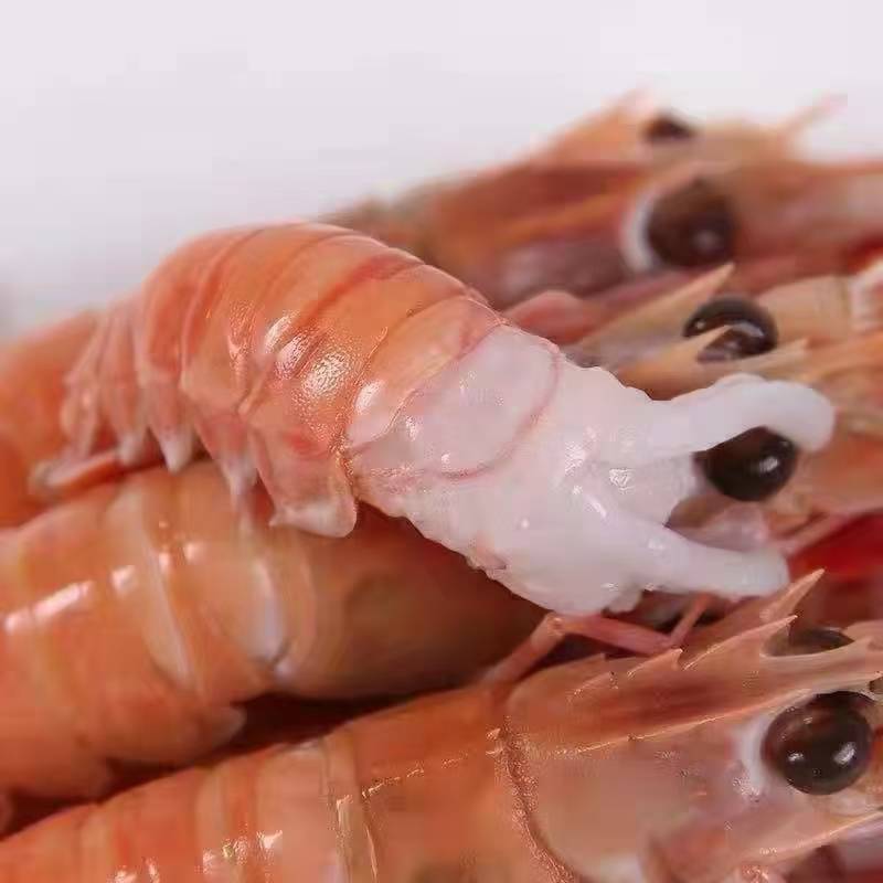 海鳌虾刺身级别价格优惠