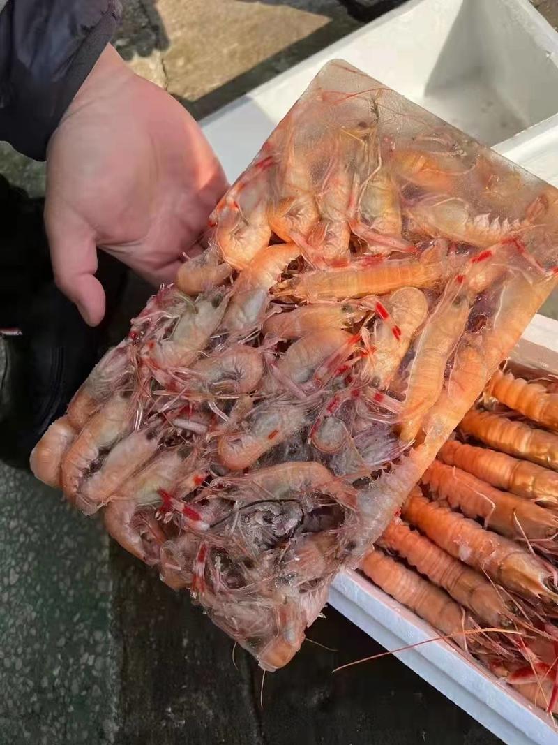 海鳌虾刺身级别价格优惠
