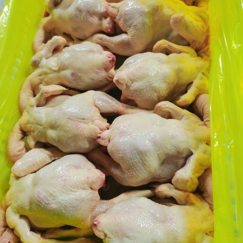 白羽肉鸡白条鸡，全净膛去油去肺的，厂家销售价格优惠，有保
