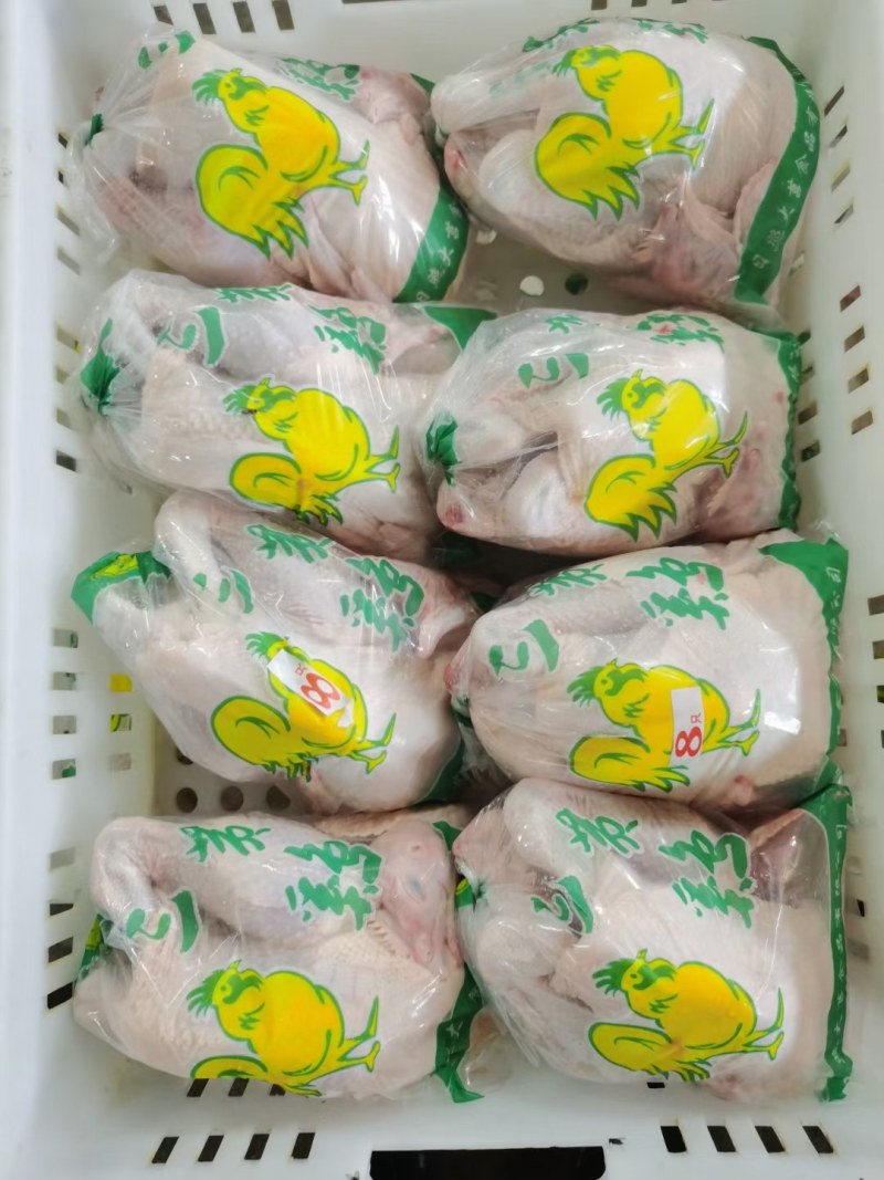 白羽肉鸡白条鸡，全净膛去油去肺的，厂家销售价格优惠，有保
