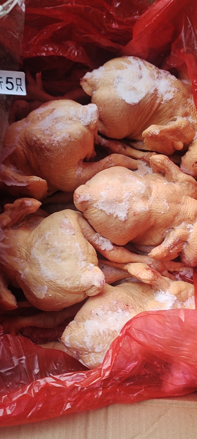 白羽肉鸡白条鸡，全净膛去油去肺的，厂家销售价格优惠，有保