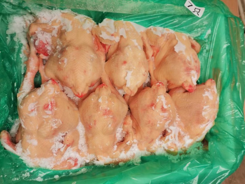 白羽肉鸡白条鸡，全净膛去油去肺的，厂家销售价格优惠，有保