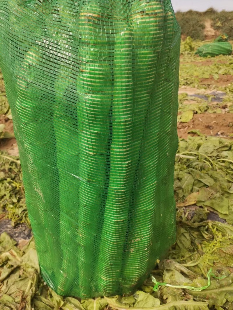 净菜，毛菜，光杆，大量有货，一手货源，欢迎订购