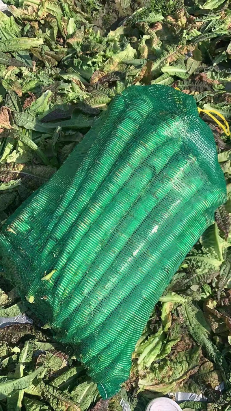 净菜，毛菜，光杆，大量有货，一手货源，欢迎订购