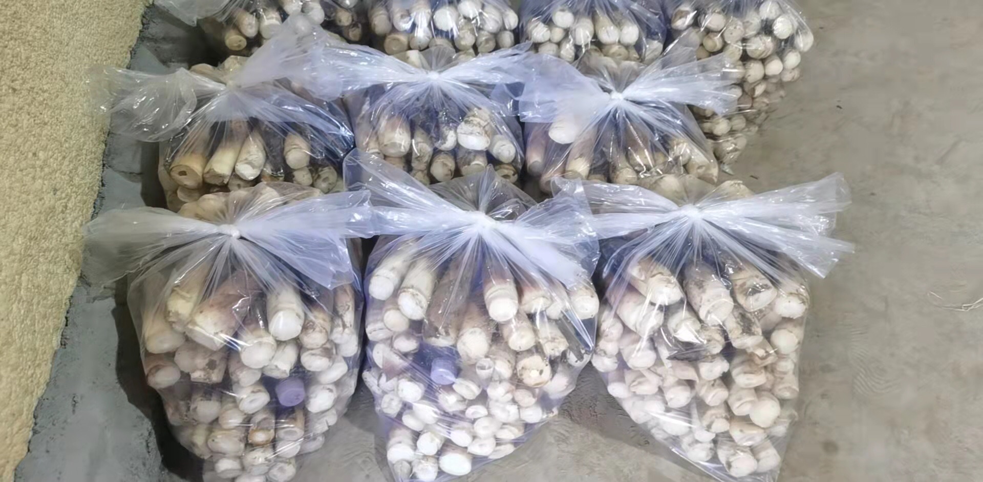 物流中心实景：现代化分拣线上，工作人员正将带编号溯源码的雷竹笋装入定制环保保温箱，箱体印有‘小竹笋雷笋新鲜·24h锁鲜直达’字样，背景可见温控显示屏（显示8℃）、冷链运输车待发区及电子溯源系统大屏