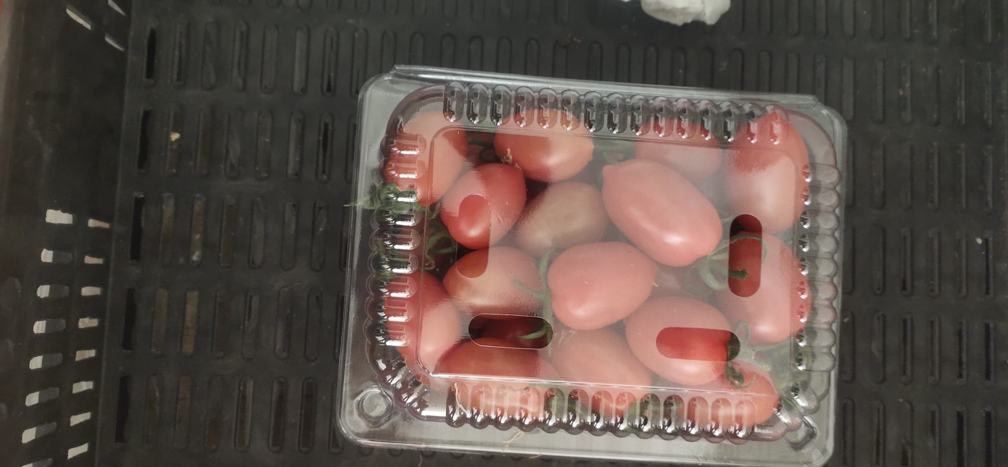 俯拍视角:半颗去皮甜柿‘富有’切片(果肉金黄、质地细腻)与两片红心猕猴桃‘红阳’(红色果肉鲜明、黑色籽粒均匀分布)交错摆放在竹制小碟中,撒少量薄荷叶碎,体现安全、清爽、可即食的健康搭配 甜柿与红心猕猴桃切片拼盘