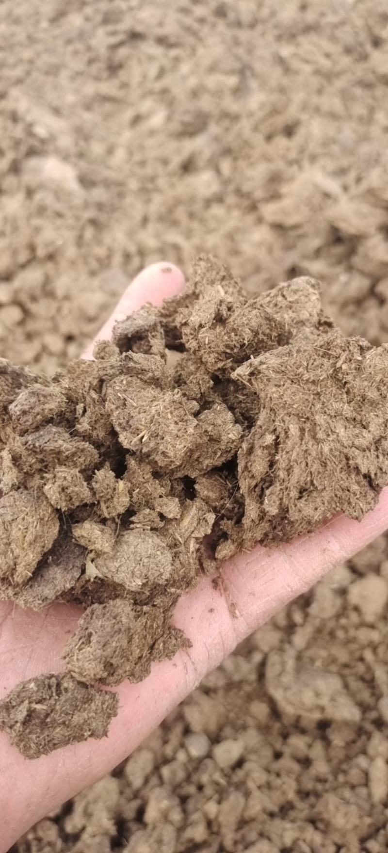 干牛粪，纯牛粪有机肥，蘑菇专用肥！果树专用肥，生物有机肥