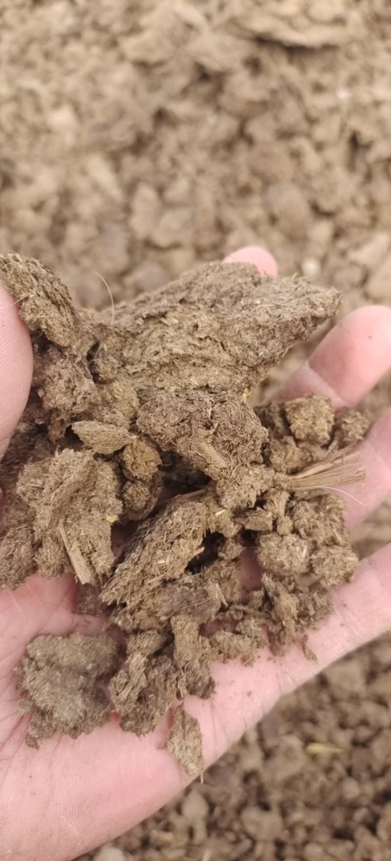 干牛粪蘑菇专用肥姬松茸专用肥果树专用有机肥可视频拿货看货