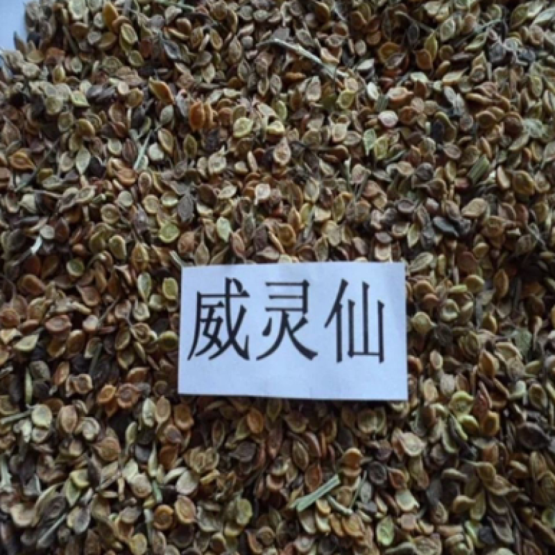 《推荐》出售东北地区优质威灵仙种子，颜色好，价格便宜！