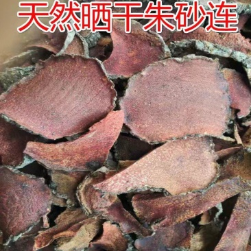 野生中草药材薯莨血三七红药子朱砂莲晒干无提取