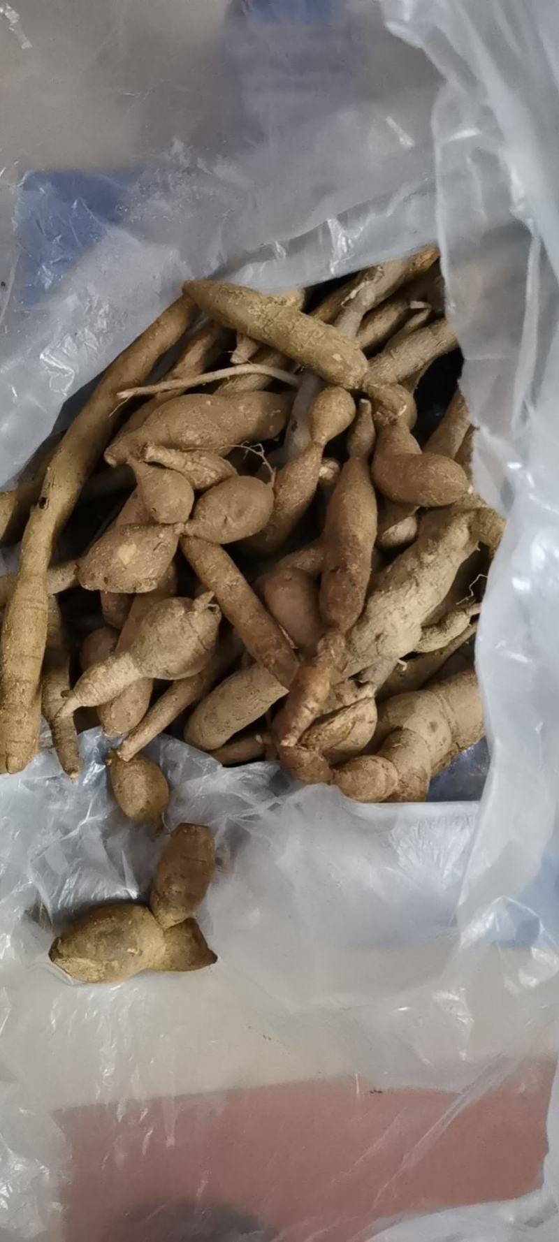牛大力