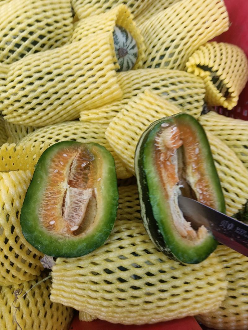 （基地直供）（实力代办）博洋九通货，只要需要就能满足……