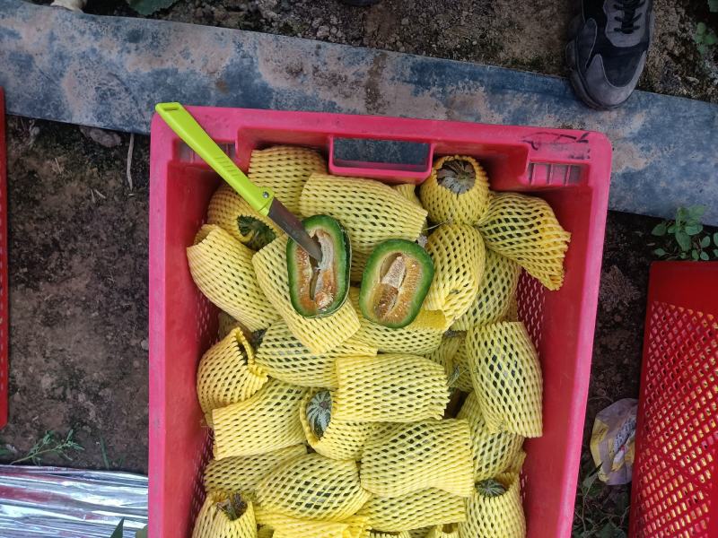 （基地直供）（实力代办）博洋九通货，只要需要就能满足……