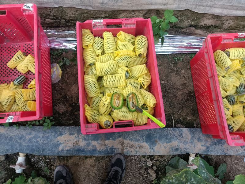（基地直供）（实力代办）博洋九通货，只要需要就能满足……
