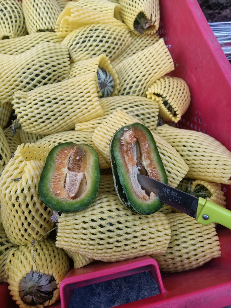 （基地直供）（实力代办）博洋九通货，只要需要就能满足……
