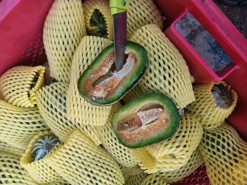 （基地直供）（实力代办）博洋九通货，只要需要就能满足……