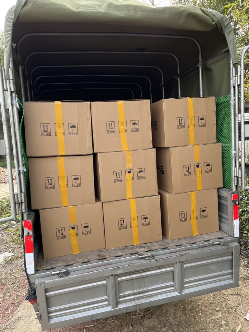 红鲤鱼苗兴国红鲤鱼金丝红鲤鱼量产供应质量保证