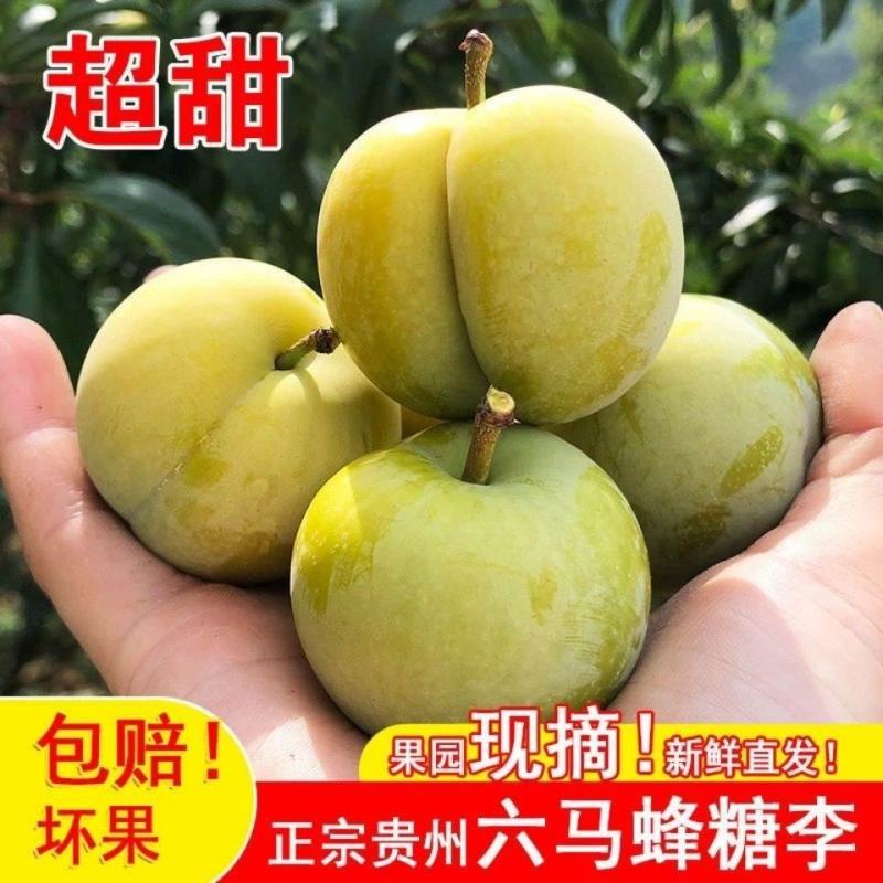 六马蜂糖李，八月瓜