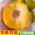六马蜂糖李，八月瓜