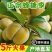 六马蜂糖李，八月瓜