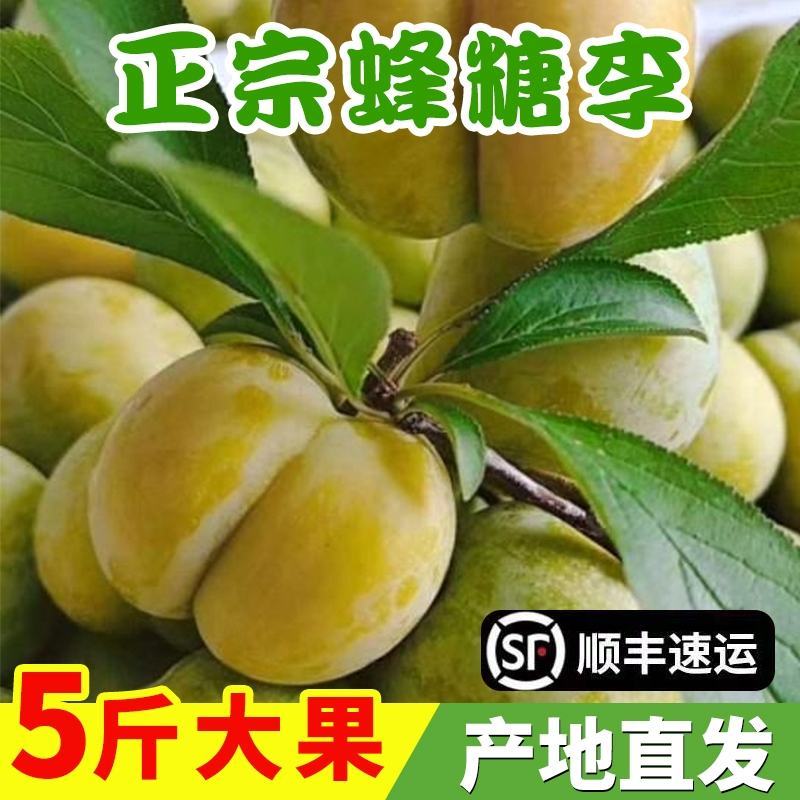 六马蜂糖李，八月瓜
