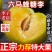 六马蜂糖李，八月瓜