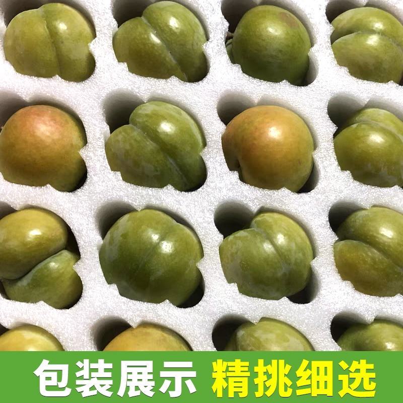 六马蜂糖李，八月瓜