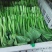 【精品】广东菜苔菜心，货源充足保证质量，欢迎来电采购