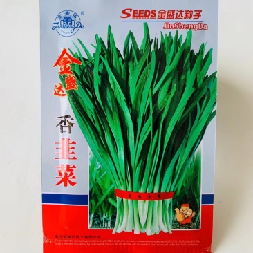 金盛达香韭菜种子香味浓耐热抗寒性强全国各地种植土韭菜种子