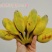 苹果蕉现摘现发，青果发货熟透皮薄如纸白胖白胖果肉