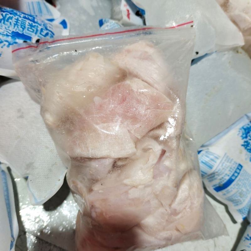 新鲜鱼泡内泡胖头鱼大头鱼泡花鲢鱼白鲢鱼泡单层脆香韧10