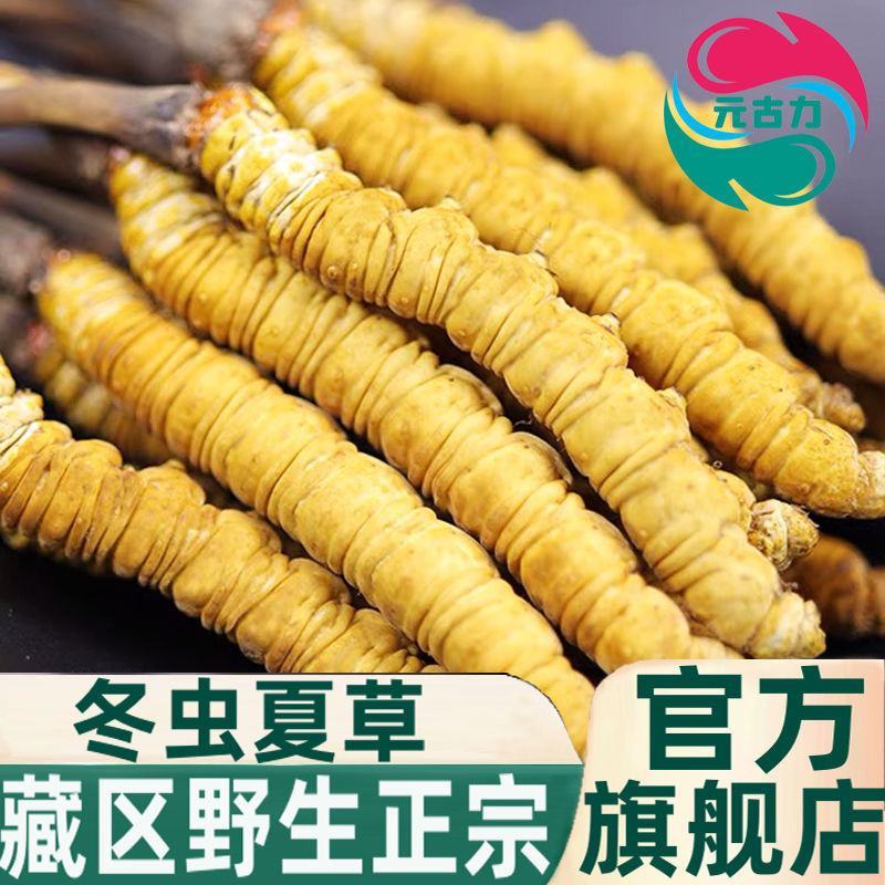 2021正宗冬虫夏草野生冬虫草虫草王滋补甘孜非那曲虫草精