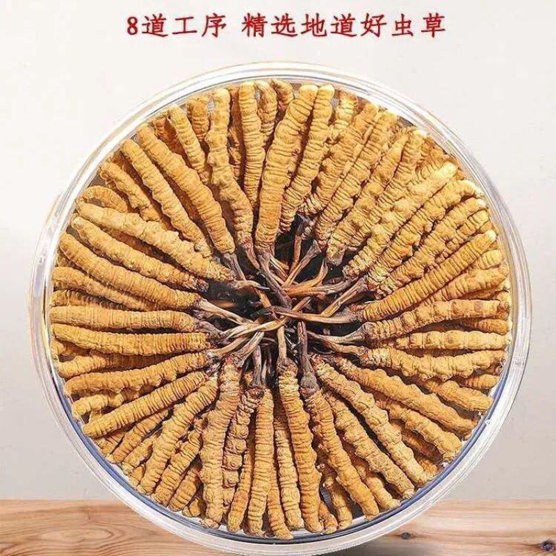2021正宗冬虫夏草野生冬虫草虫草王滋补甘孜非那曲虫草精