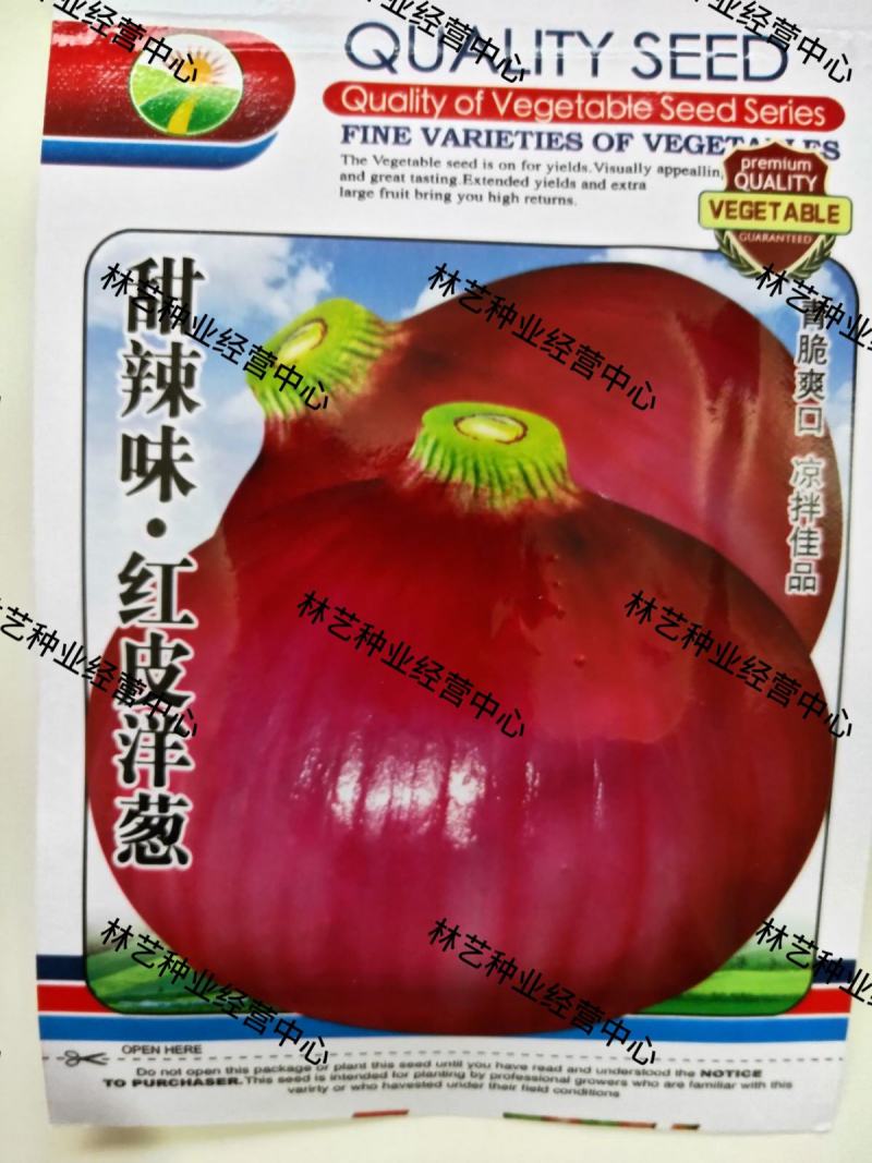 红皮洋葱种籽种子苗特大紫皮黄皮高产洋葱圆葱早熟四季蔬菜种