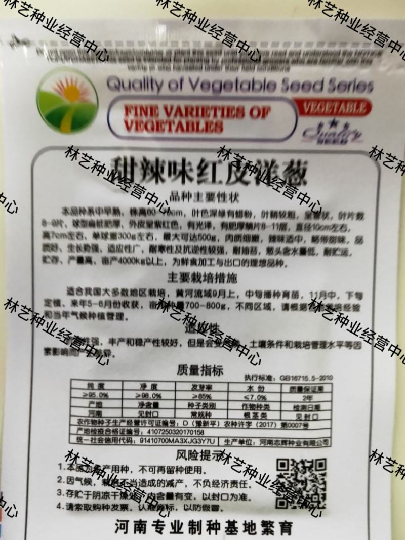 红皮洋葱种籽种子苗特大紫皮黄皮高产洋葱圆葱早熟四季蔬菜种
